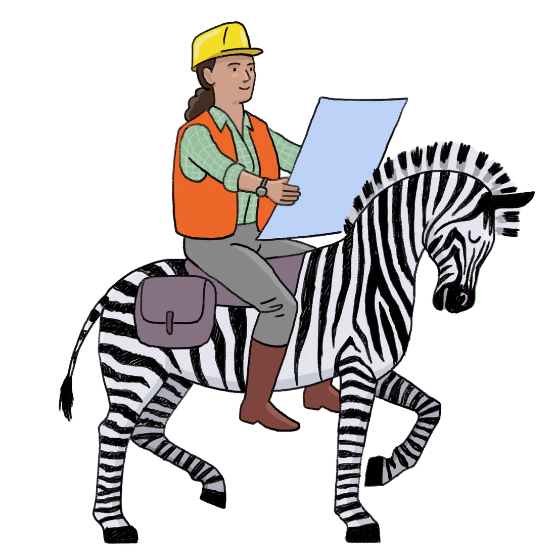 Visual for this record: Zebras Unite filed as a cooperative, not a venture fund